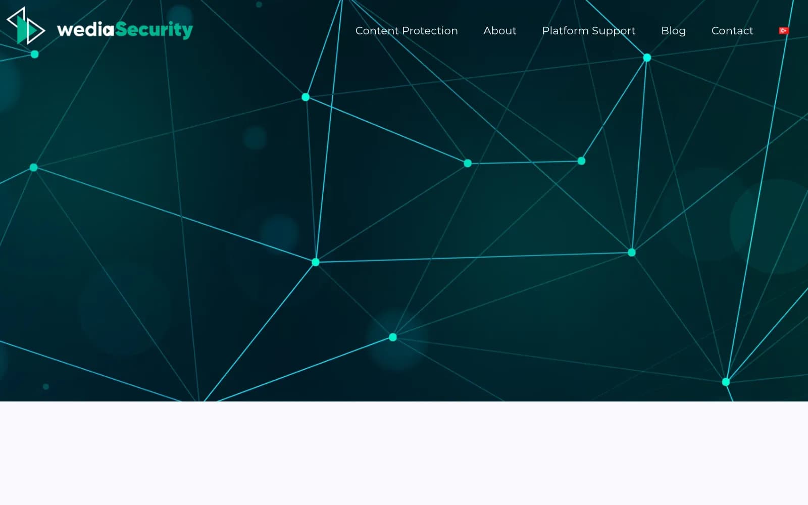WediaCorp — wediasecurity.com