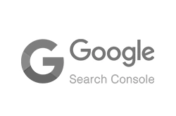 search-console